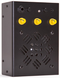 Terz Amplifier