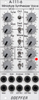 A-111-6 Miniature Synthesizer Voice