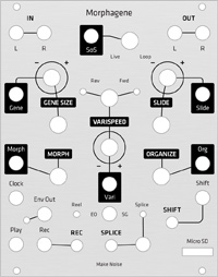 Alternate Panel: Make Noise Morphagene